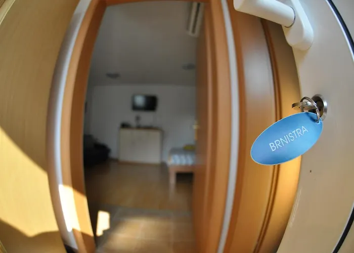 Appartement Apartma Brnistra Ginestra